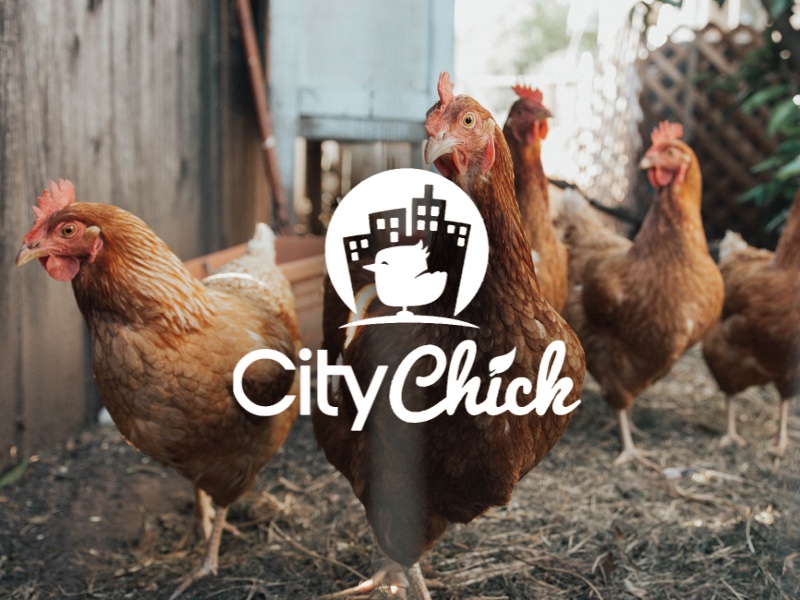Poultry in motion: CityChick delivers chicken feed and supplies with EasyRoutes